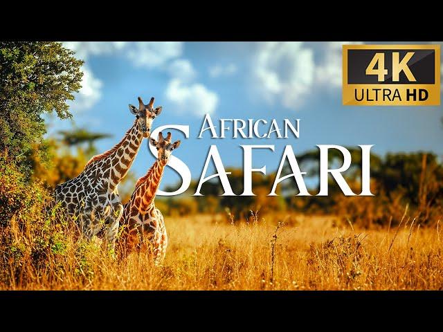 African Safari 4K  Discovery Relaxation Wonderful Wildlife Movie with Relax Piano Music