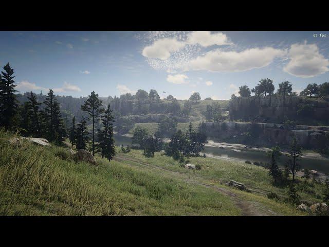 Red Dead Redemption 2 1080p Blurry Image SIMPLE FIX - NO FPS LOSS!