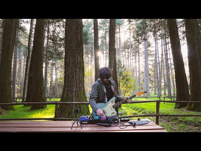 Ambient Guitar Tones || Outdoor Music || Sunset Drone In The Forest