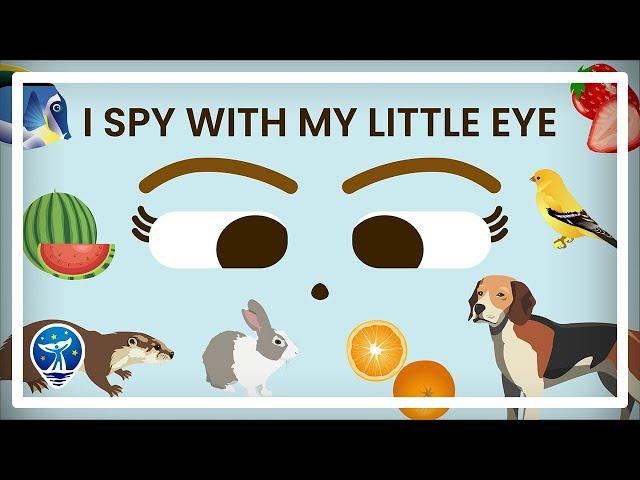 I Spy Phonics | Beginning Sounds Game