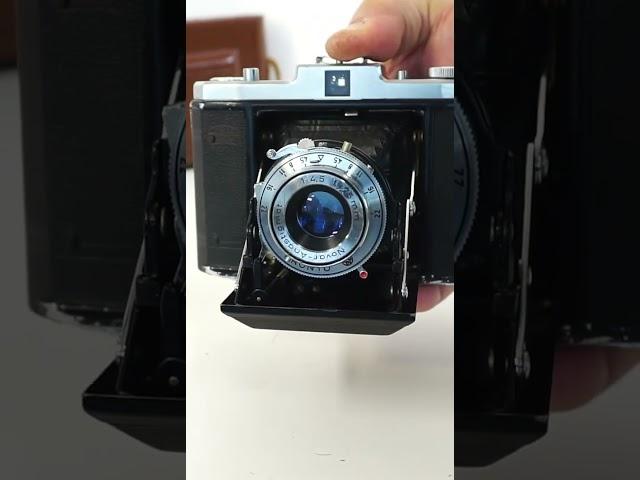 Vintage Camera Alert!  A vintage Zeiss Ikon Signal Nettar 518/16 Folding 6x6 Horizontal Camera