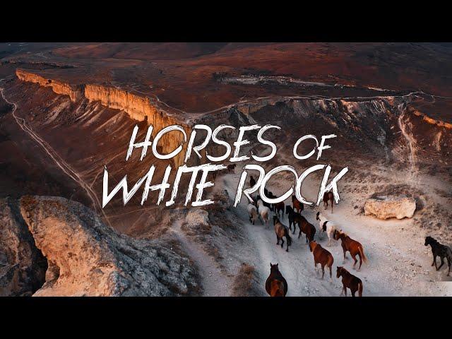 Horses of White Rock, Crimea. Drone Cinematic / Лошади у Белой Скалы, Крым, съемка с дрона 4k