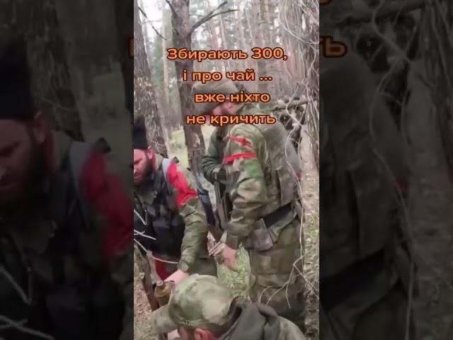 Как орут кадыровские ублюдки, когда им прилетает от Вооруженных сил Украины. 18.09.2022.