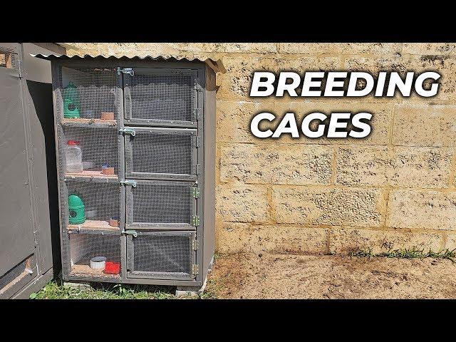 Pigeon Breeding Cages