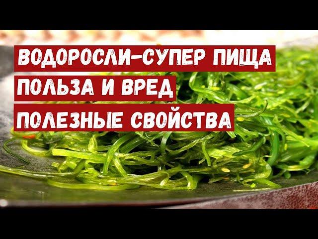 Водоросли - супер пища. Польза и вред. Полезные свойства.