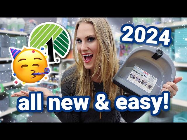 24 EASY DOLLAR TREE ORGANIZING SECRETS you NEED in 2024 🫶 