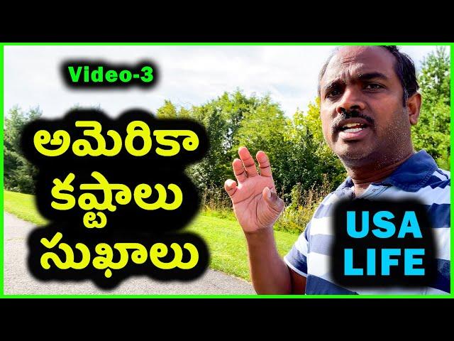 ️ GOOD & BAD about Living in USA ️ ( అమెరికా కష్టాలు సుఖాలు )