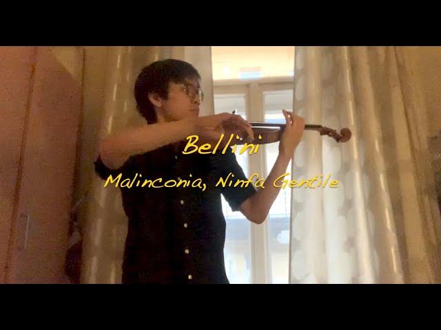 【一分鐘音樂 Minute Music】 #3｜Bellini Malinconia, ninfa gentile