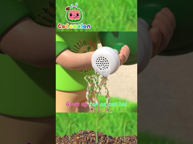 Gardening Song #Shorts | CoComelon Nursery Rhymes and Kids Songs