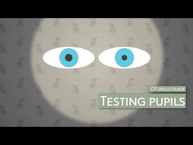 OT skills guide: Testing pupils