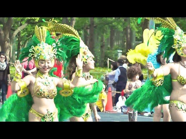 サンバ  おまつりパレード・神戸まつり  /  Samba Festival parade Kobe Festival