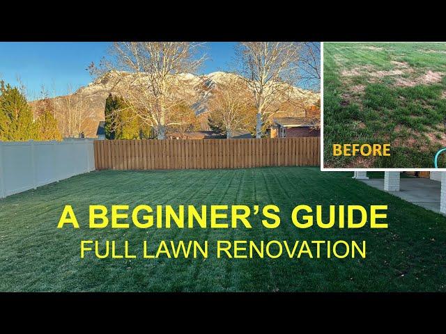 Full Lawn Renovation Start to Finish for Beginners (Like Me)