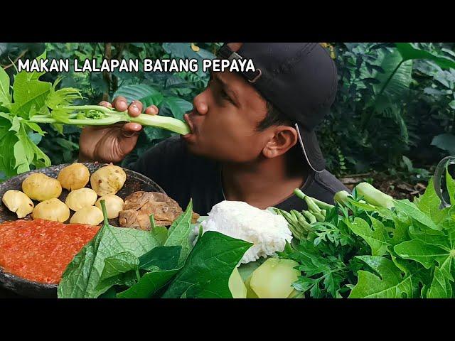 Mukbang Lalapan Mentah Batang Pepaya dan Jengkol, MukbangIndonesia