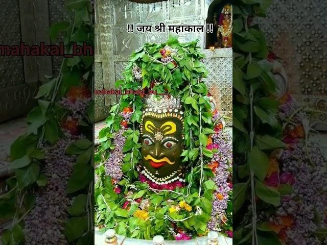 जय महाकाल  जय श्री महाकाल  @Ujjain_ke_raja-u6b #jaishreemahakal #trending #youtubeshorts