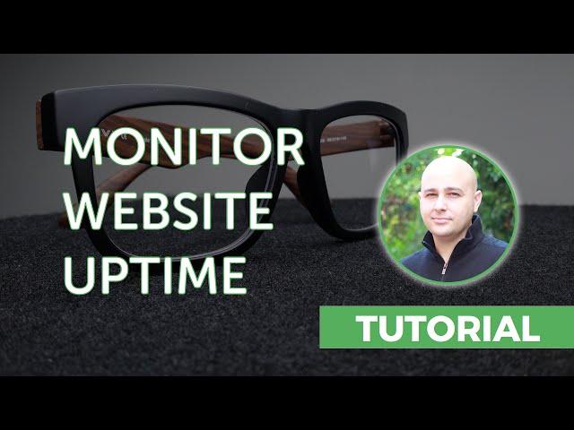 How to Monitor Your WordPress Website Uptime For Free