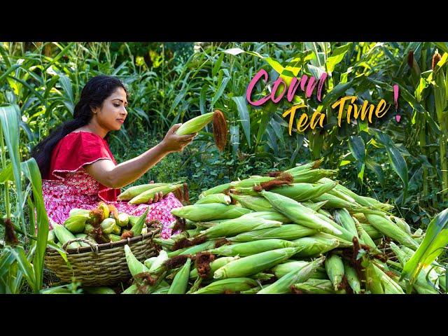 I made Sweet and Spicy tea time delicacies from my Brother's corn harvest | Traditional Me