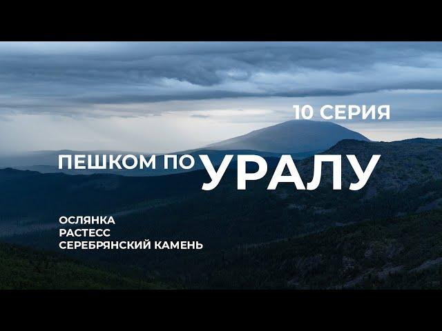 Серия 10 // Уральская экспедиция Чегодаева (Ослянка - Растесс - Кытлым - Серебрянский Камень)