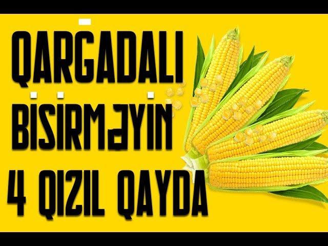 Qarğadalı bişirməyin 4 qızıl qaydası