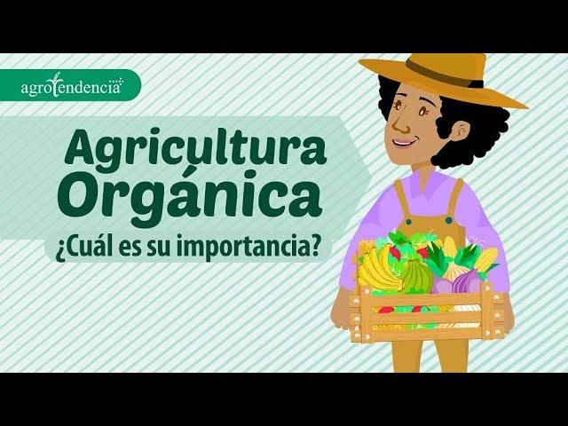 AGRICULTURA ORGÁNICA Una alimentación saludable - Agroclips