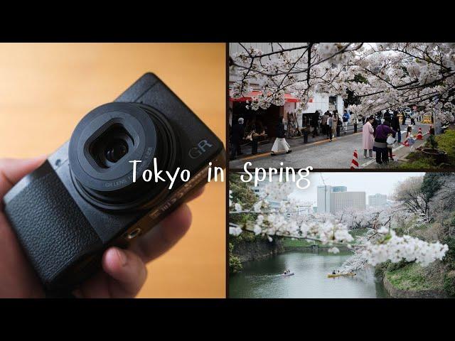 Tokyo in Spring / Why I Love the Ricoh GRIII