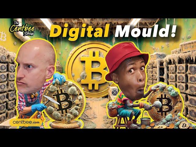 The Centbee Show 35 - Digital Mould!