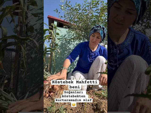 #mahsul #bahçe #söküm #köstebek #tarla #bahçe #viral #katıl