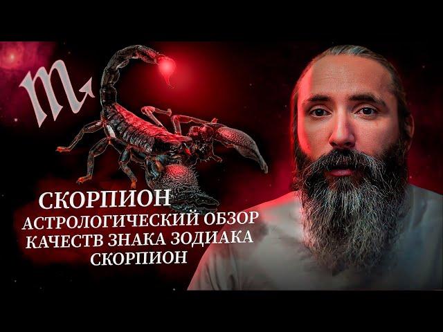 Скорпион. Астрологический обзор качеств знака зодиака Скорпион.  Характеристики Скорпионов