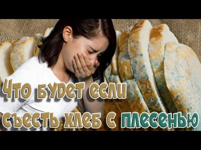 ЗдоровьеЧто будет если съесть хлеб с плесенью