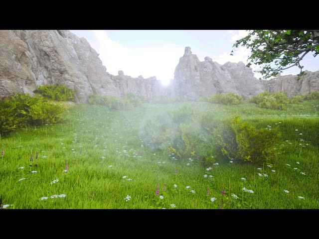 Grass Fields - Unreal Engine 5 (LUMEN) (8K) (60FPS)