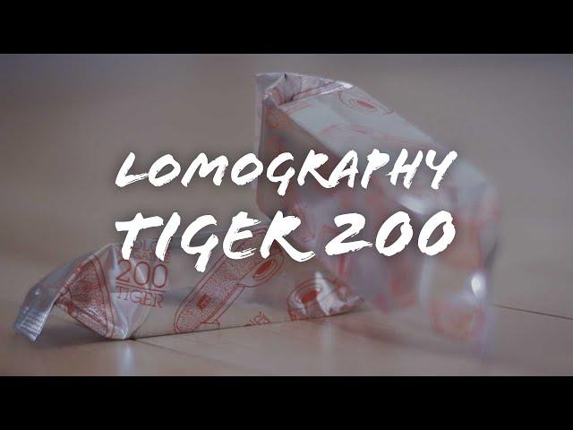 Trying 110 film! Lomography Tiger 200 - Photowalk