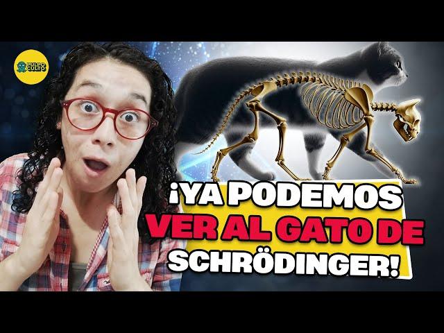 Crearon el primer cristal de zafiro en superposición cuántica; el gato de Schrödinger es visible