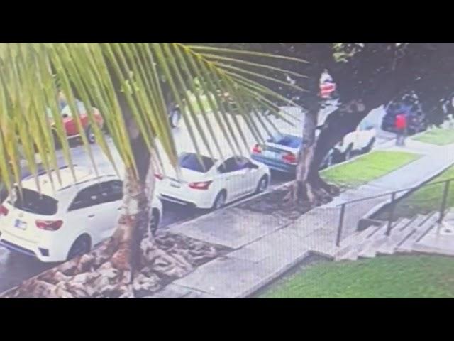 Felony Hit-and-Run