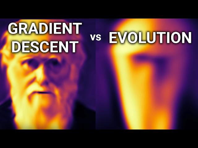 Gradient Descent vs Evolution | How Neural Networks Learn