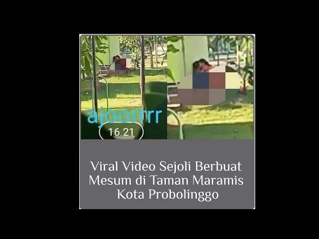 Viral video pasangan sejoli berbuat mesum di taman  Maramis Probolinggo terekam kamera HP warga