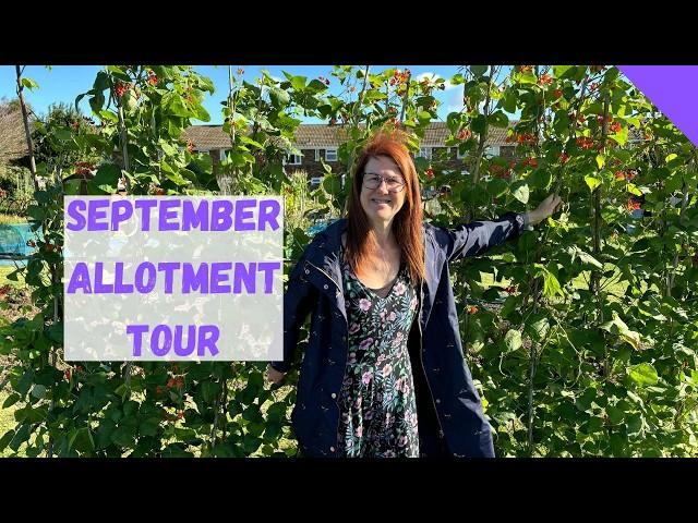 September Allotment Tour - Allotment Gardening For Beginners UK