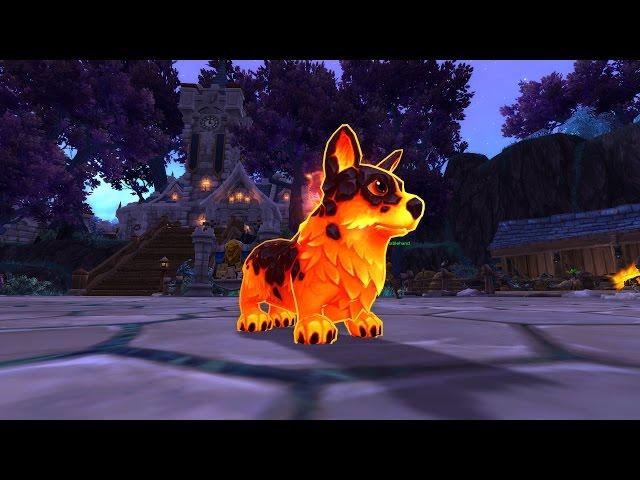 Molten Corgi