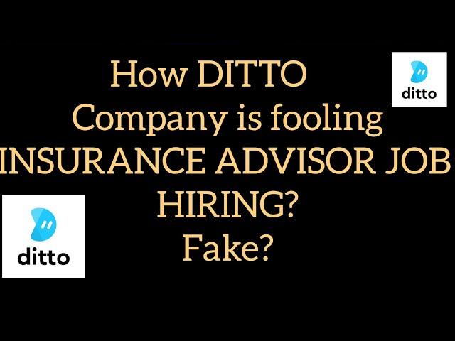 Ditto Insurance Advisor Job| Fake| Fooling people| No Hiring|With Proof