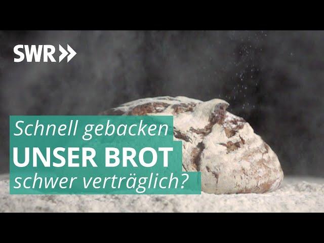 Das Geschäft mit Brot | Marktcheck SWR