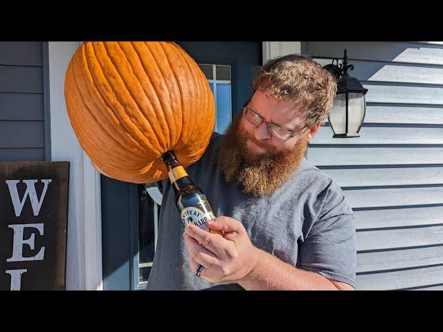 Kentucky Pumpkin Barrel Ale Review!