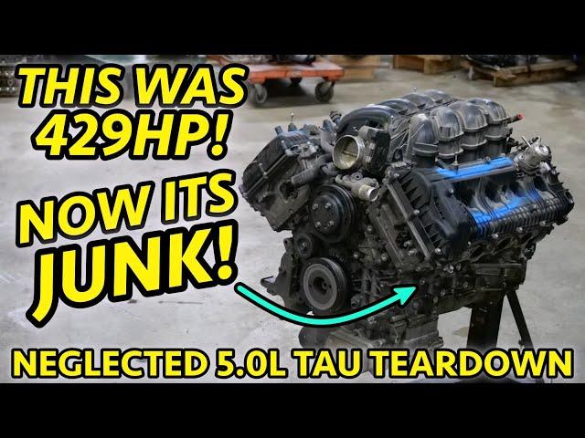 NEGLECTED HYUNDAI MUSCLE!? EQUUS 5.0L TAU V8 Destroyed by Extended Oil Change Intervals #changeoil