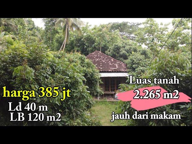 Dijual pekarangan luas 2.265 m² bonus rumah besar kokoh. Harga 385 juta. ISTIMEWA