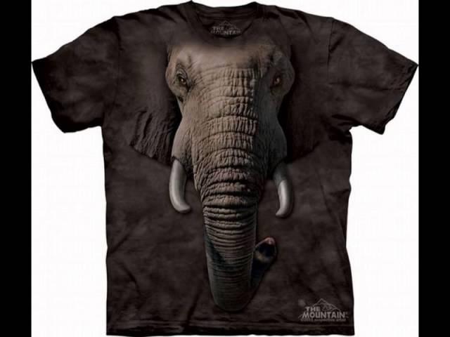 20 Wild Animal T Shirts