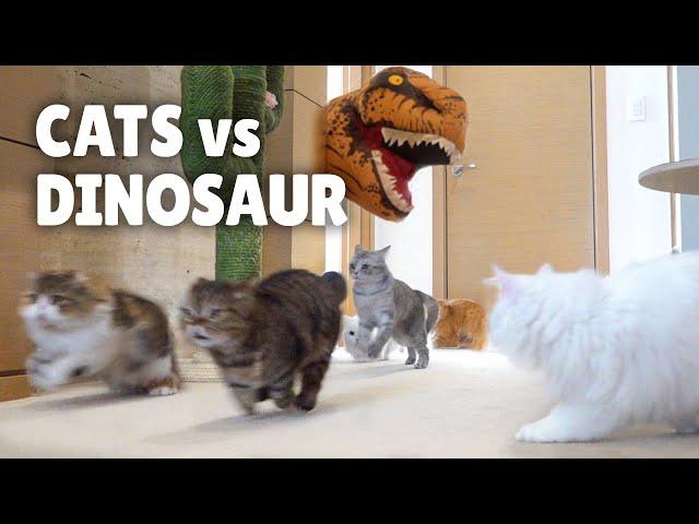 Cats vs Dinosaur | Kittisaurus