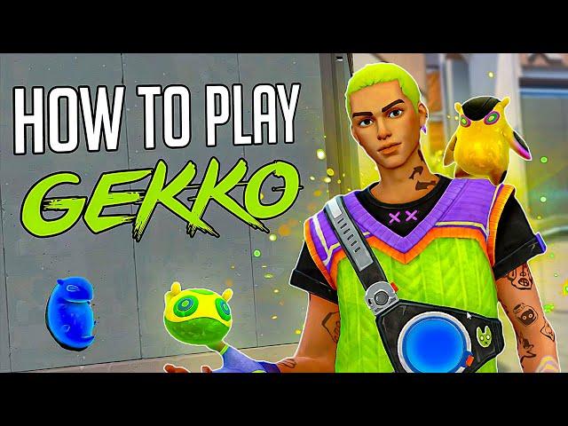 How to Play GEKKO (Advanced Gekko Tutorial)