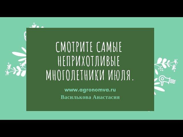 ТОП-10 Клумба из многолетников непрерывного цветения. Цветы в июле.