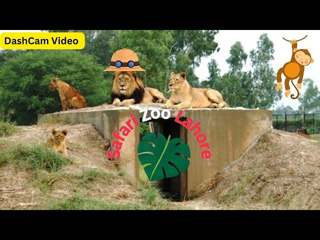 Safari Zoo Lahore 2003 - DashCam Video Lahore Tracks