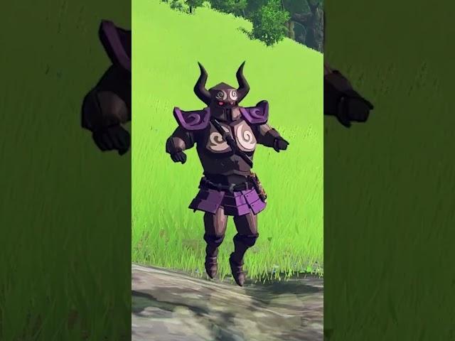 Weird armor design choices in Zelda BotW