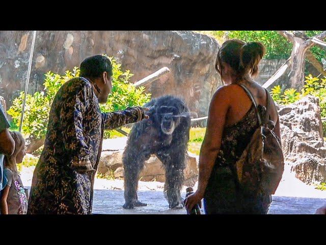 Baljeet Goes to the Zoo!!!