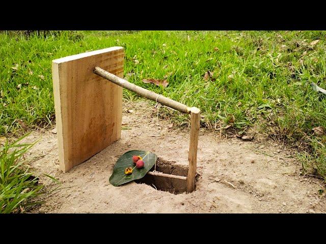 Creative Building Unique Underground Quail Bird Trap Using Traditional Tools- Easy Quick Bird Trap |