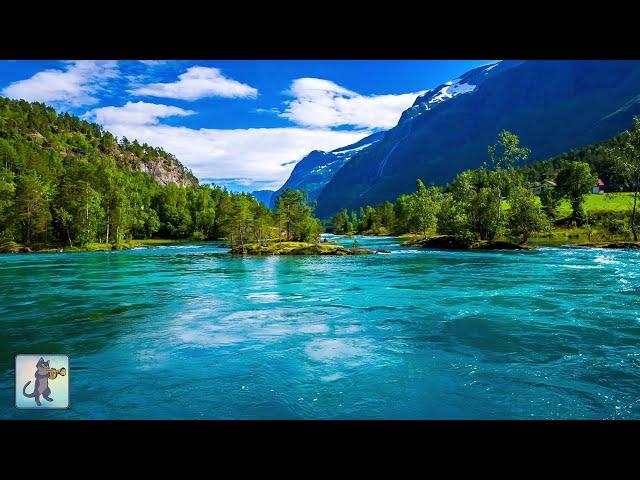 3 Hours of Amazing Nature Scenery & Relaxing Music for Stress Relief.